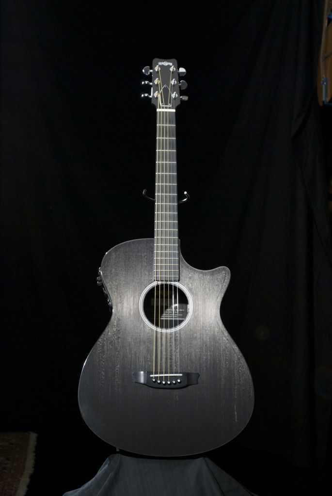 Carbon Fibre guitars RainSong and Composite Acoustics at Bluedog